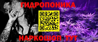 прущие крисы Усть-Джегута
