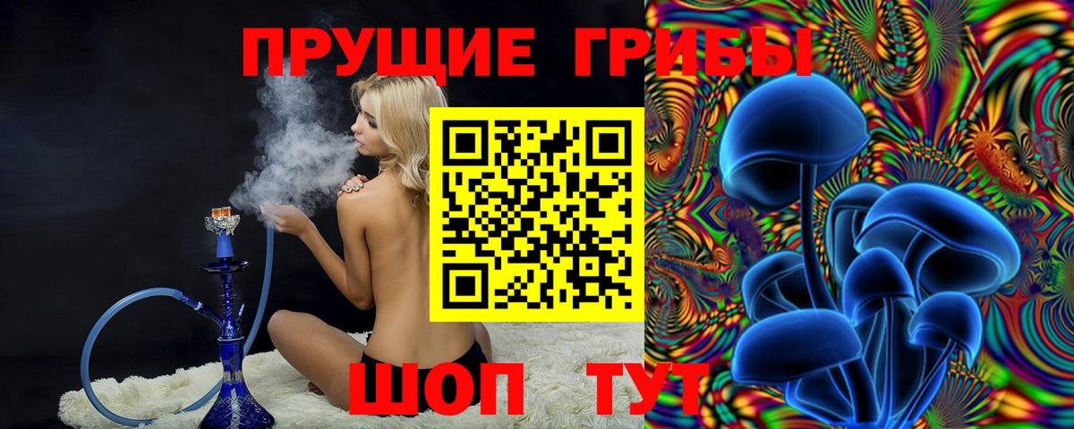 Галлюциногенные грибы Psilocybe Новодвинск